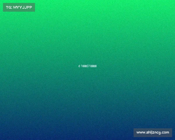 d 1赛事、D1赛事图片